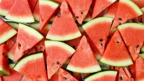 צילום: shutterstock