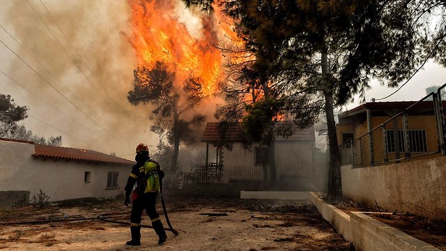 שריפה שריפות יוון אתונה אש להבות הרוגים נזק (צילום: AFP)