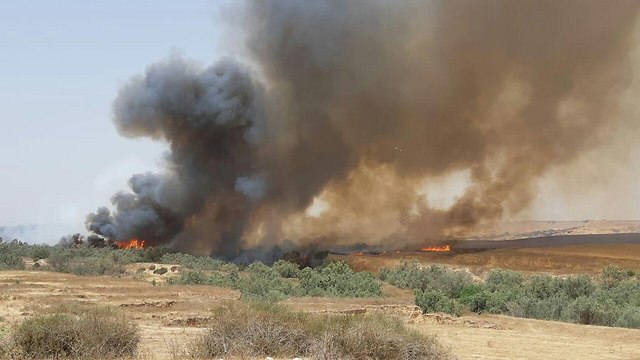 Пожар возле Нахаль ха-Бсор. Фото: Ханан Левави, Управление заповедников (Photo: Hanan Levavi, Israel Nature and Parks Authority)