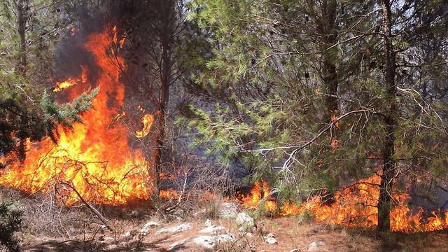 שריפה ביער אחיהוד (צילום: דוברות כבאות והצלה תחנת זבולון)