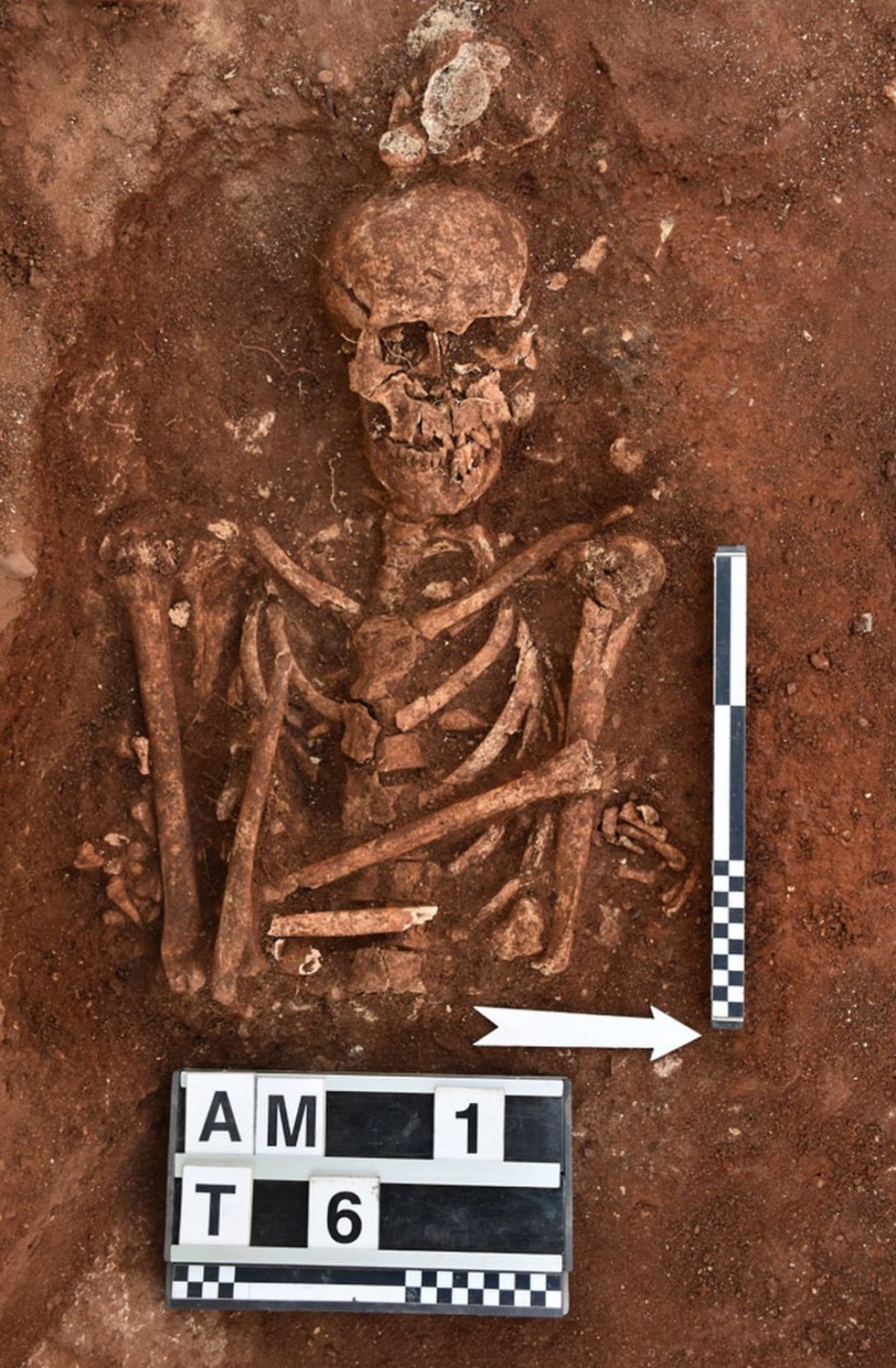 קברים קברי ויקינגים סיציליה ארכיאולוגיה ()