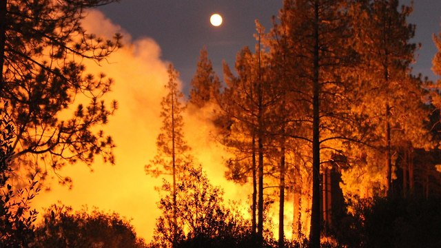 שריפת יער בצפון קליפורניה ארה