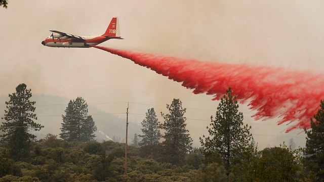 שריפת יער בצפון קליפורניה ארה