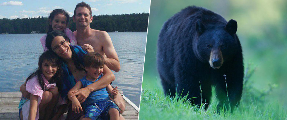 משפחת שחף פוגלר | דוב שחור בקנדה (צילום: מיכל שחף פוגלר | shutterstock)