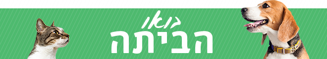 בואו הביתה בואו הביתה