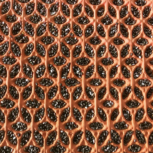 השקערוריות הזעירות על פני השטח של כלי החרס מאפשרות לחפון בתוכן את הזרעים  (צילום: באדיבות HIT)