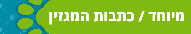 מגזין בעלי חיים מגזין בעלי חיים
