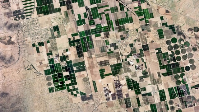שדות חקלאיים באיזור פיניקס, כפי שצולמו על ידי הלוויין ונוס (צילום: הלוויין ונוס של סוכניות החלל של ישראל וצרפת)