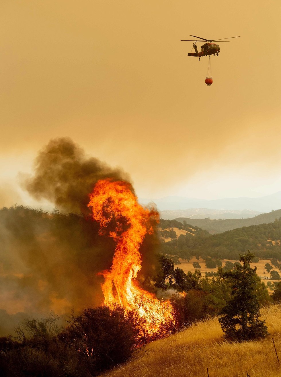 אש שריפה שריפות קליפורניה ארצות הברית (צילום : AFP)