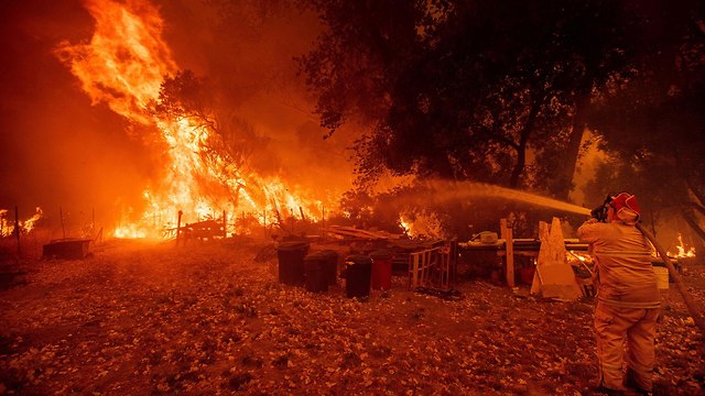 Пожар в Калифорнии. Фото: AFP