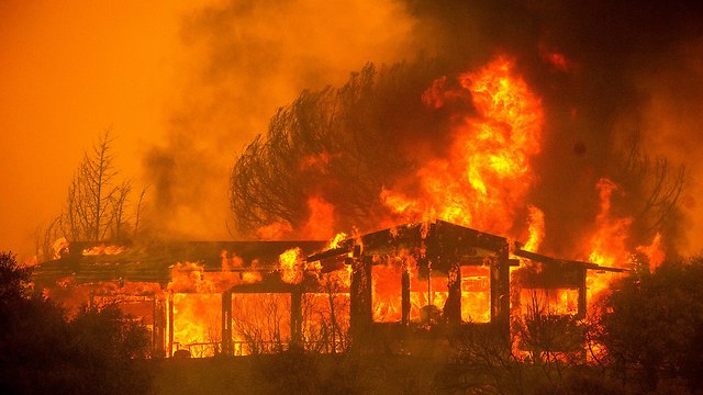 Пожар в Калифорнии. Фото: AFP
