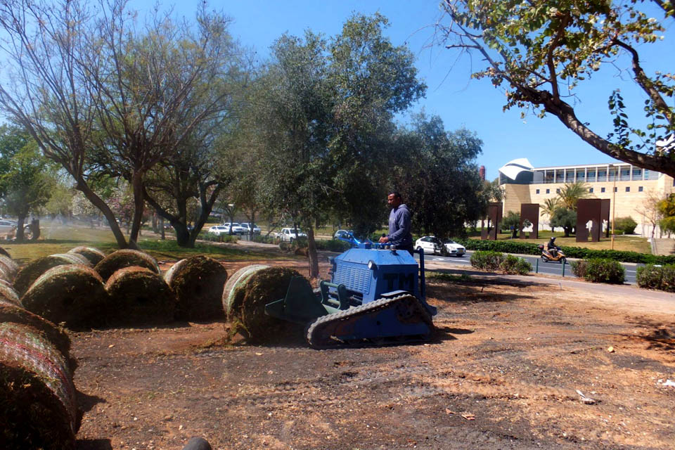 Укладкой газона занимается рабочий на небольшом тракторе. Фото: Леон Левитас