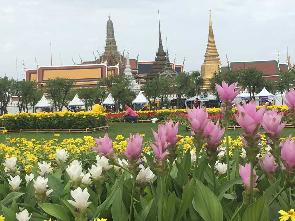 כיכר סאנאם לואנג (צילום: גלעד כרמלי)