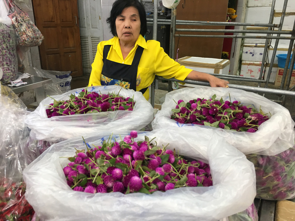 שוק הפרחים בבנגקוק (צילום: גלעד כרמלי)