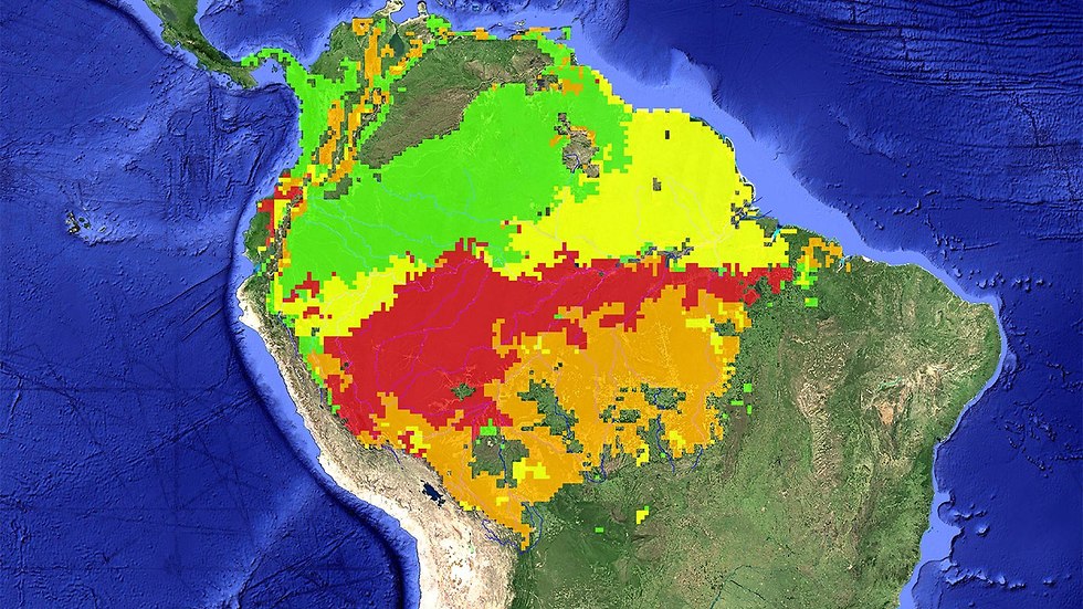 האזורים שנפגעו באמזונס מסומנים באדום, כתום וצהוב (אדום פגיעה רבה, כתום בינונית, צהוב מעטה וירוק - אזורים שלא נפגעו (צילום: נאס