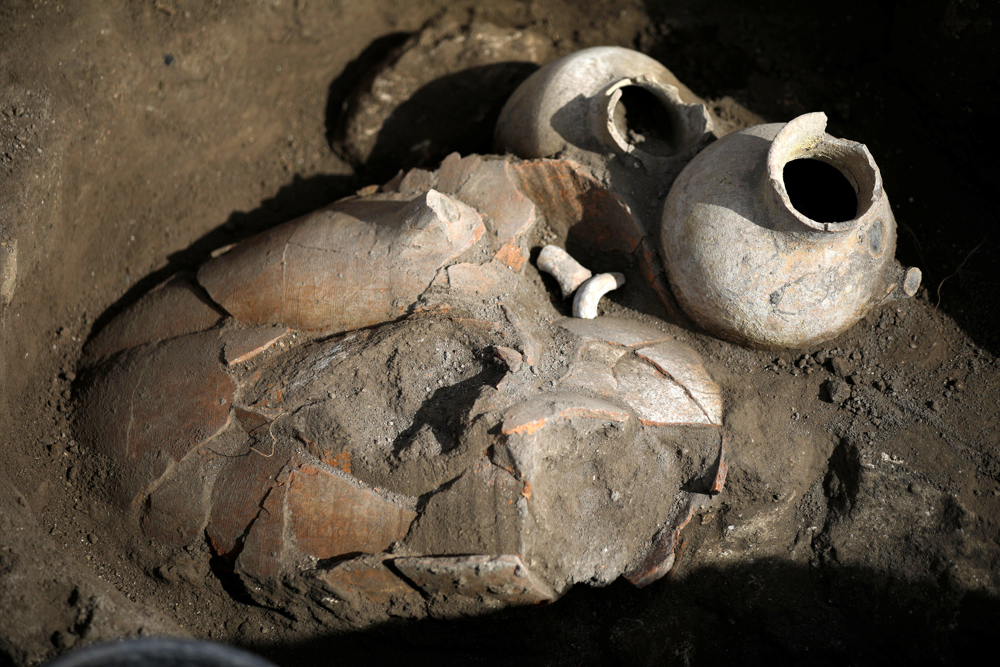 Megiddo excavation (Photo: Reuters)