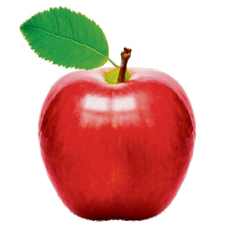 ×ª××× × ×§×©××¨×