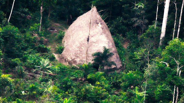 שבט מבודד נחשף ביערות האמזונס בברזיל (צילום: AP)