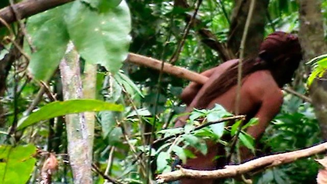 שבט מבודד נחשף ביערות האמזונס בברזיל (צילום: AFP)