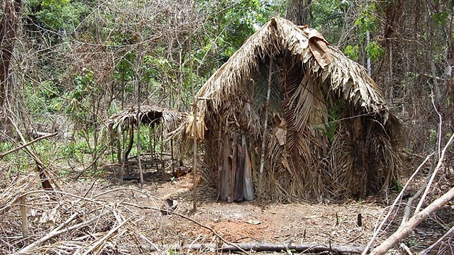 שבט מבודד נחשף ביערות האמזונס בברזיל (צילום: EPA)