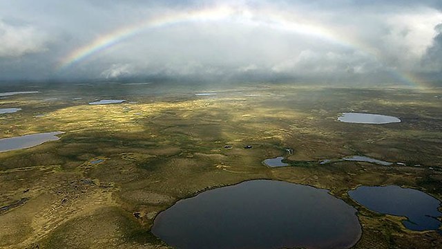 חצי האי גידאן באזור הארקטי של רוסיה (מטוויטר)
