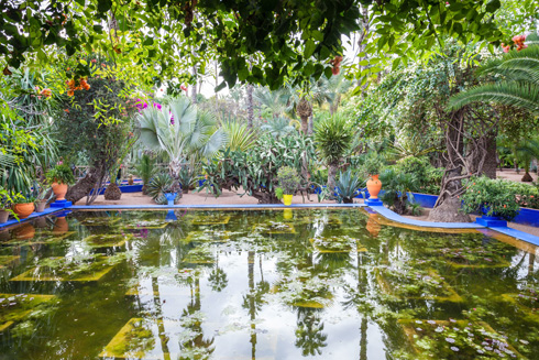 הגן של איב סן לורן. צמחים ומוזיאונים (צילום: Shutterstock)