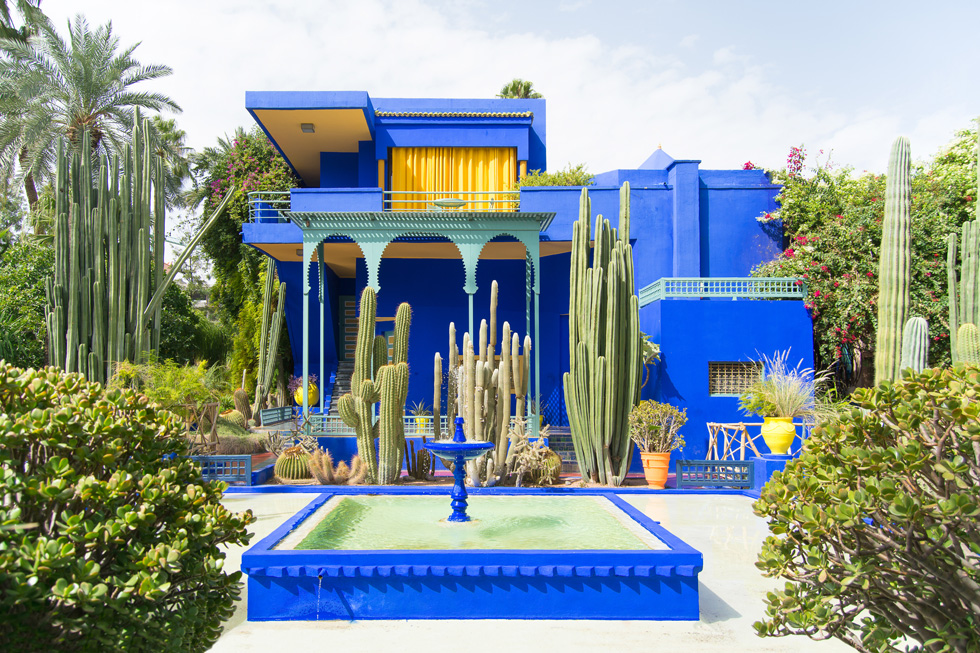 גני מז'ורל במרקש, הגן של איב סן לורן. שילוב של צמחייה עם ארכיטקטורה בכחול קובלט (צילום: Shutterstock)