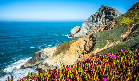 גבעות מכוסות פרחים ורצועת חוף זהובה (צילום: Shutterstock)