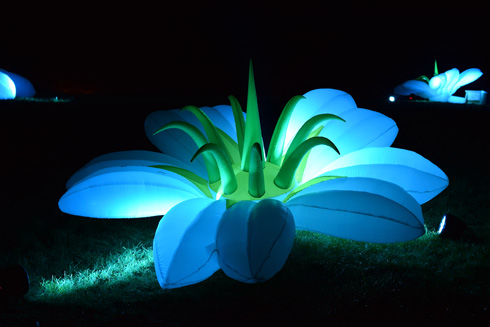תאורת לילה על ערוגות הפרחים. 20,000 סוגים (צילום: JRJfin/Shutterstock)