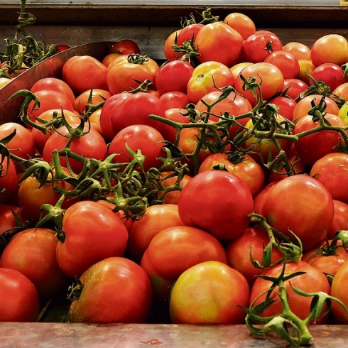 תמונה כללית