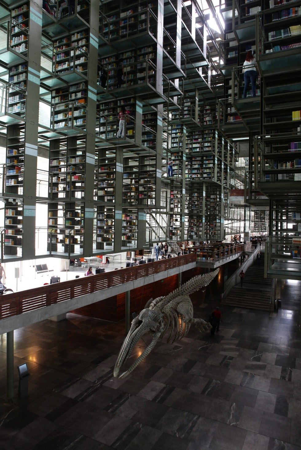 vasconcelos library (צילום: EPA)