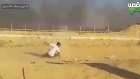 תמונה כללית