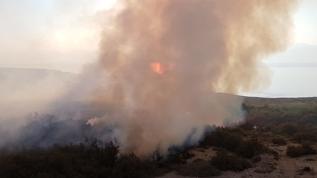 Пожар в заповеднике Эйнот-Цуким. Фото: пресс-служба Совета Иудеи и Самарии