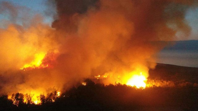 שריפה בעינות צוקים (צילום: ארז ברוכי רשות הטבע והגנים)