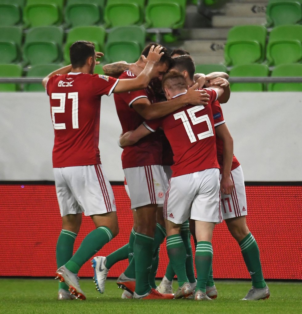 נבחרת הונגריה (צילום: AFP)
