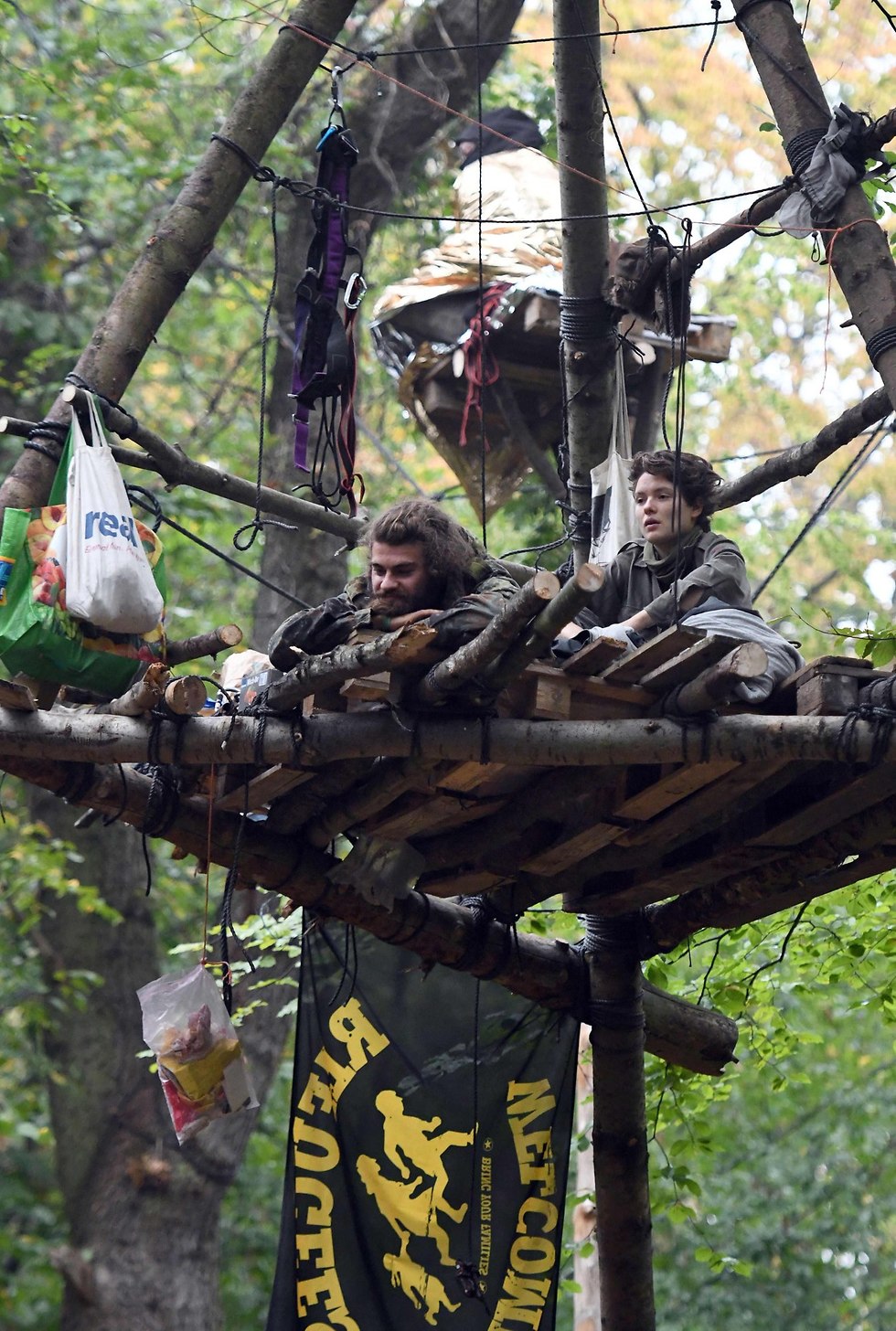 משטרת גרמניה מפנה פעילים סביבתיים שגרים על עצים יער ב קרפן  (צילום: AFP)