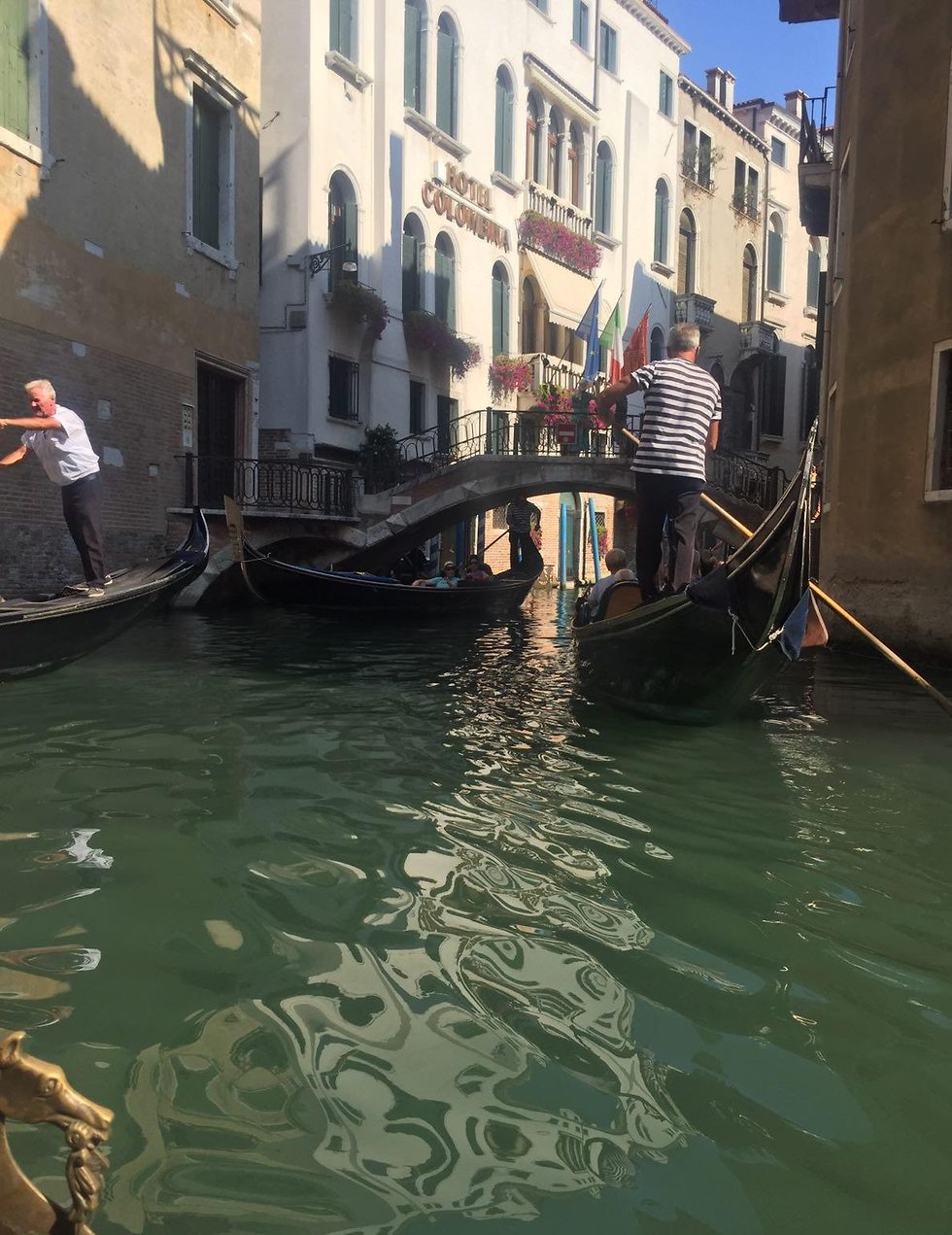 ונציה (צילום:יח