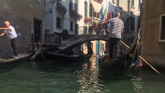 ונציה (צילום:יח