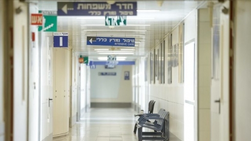 צילום: עמית שעל