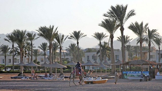 תיירים ב שארם א שייח' ב מצרים (צילום: רויטרס)