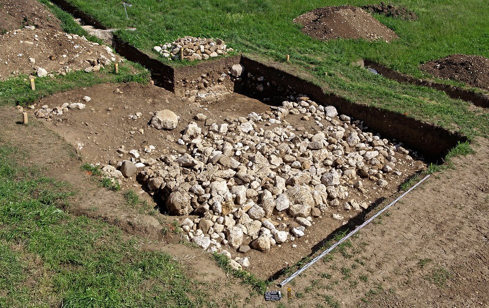 אתר הקבורה שלידו נמצאה היד (צילום: Philippe Jone, השירות הארכיאולוגי של קנטון ברן)