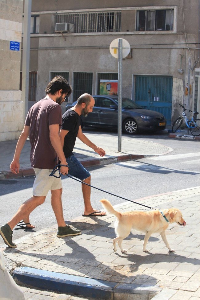 יפים מאוד, כל השלושה (צילום: מוטי לבטון) יפים מאוד, כל השלושה (צילום: מוטי לבטון)