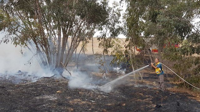 Пожарные тушат огонь, охвативший лес Беэри. Фото: Ронен Хамелех (Photo: Ronen Ha'Melech)
