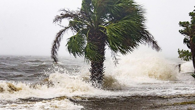 Ураган "Майкл" обрушился на Флориду. Фото: AFP