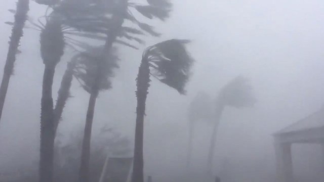סופה הוריקן מייקל פלורידה ארה