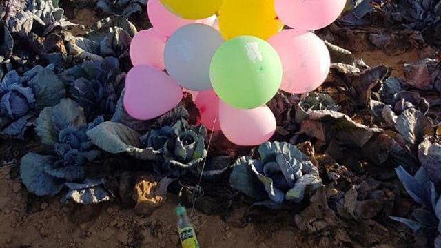 Incendiary balloons in Eshkol Region