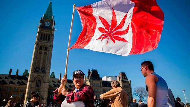 קנדה מריחואנה חוקית בכל המדינה (צילום: AFP)