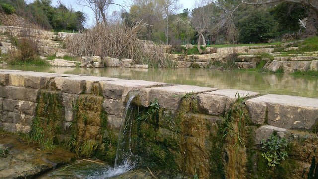 גן לאומי עין חמד (צילום: רשות הטבע והגנים, יואב ניר)