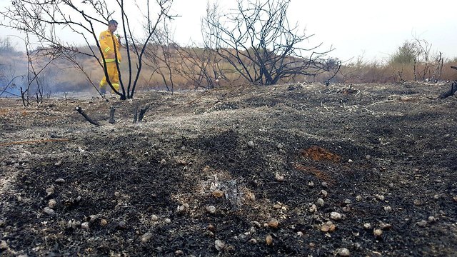 Fire in Gvaram Forest (Photo: Roee Idan)