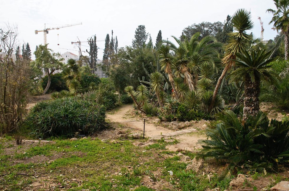 גן הברון מנשה (צילום: עיריית כפר סבא)